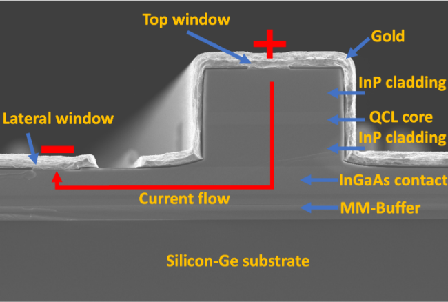 Epitaxial growth of QCL structures onto large-diameter silicon substrates enables the development of ultra-compact infrared platforms with both electronic and photonic components on a single cost-effective chip. Recent research by IRGLARE has demonstrated record wall plug efficiency from QCLs grown on large diameter silicon wafers, with high fabrication yield.
<br>
<a target="_blank" rel="noopener" href="https://pubs.aip.org/aip/apl/article-abstract/122/14/141108/2882356/High-peak-power-quantum-cascade-lasers?redirectedFrom=fulltext">Read the full paper</a>