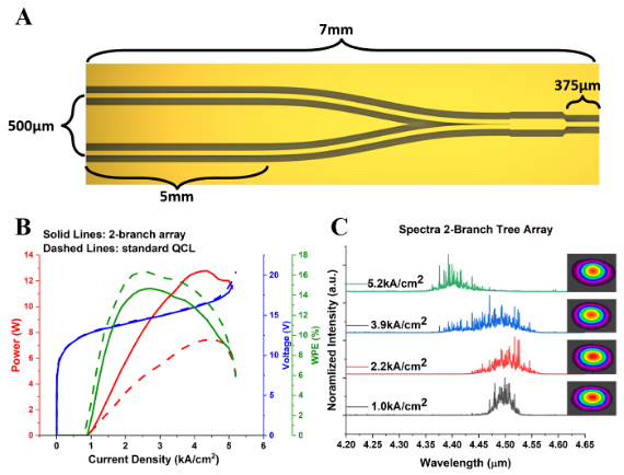 Tree array configuration leverages integrated photonics to scale the brightness of QCL chips. Optical power from multiple QCL emitters is coherently and monolithically combined into a single output aperture for power scaling with excellent beam quality.<br>
<a href="https://ieeexplore.ieee.org/abstract/document/10538358" target="_blank" rel="noopener">Read the full paper.</a>